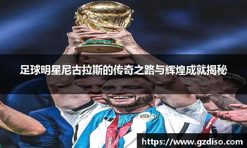 足球明星尼古拉斯的传奇之路与辉煌成就揭秘